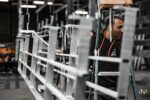 reportage photo corporate pme
